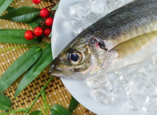 妊活中の男性のための食事ガイド