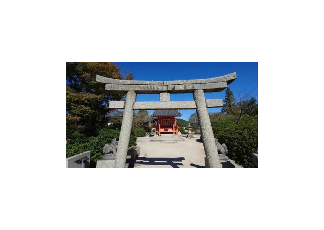 【岡山】子宝祈願で心と体を癒す旅へ。妊活におすすめの神社と漢方の知恵