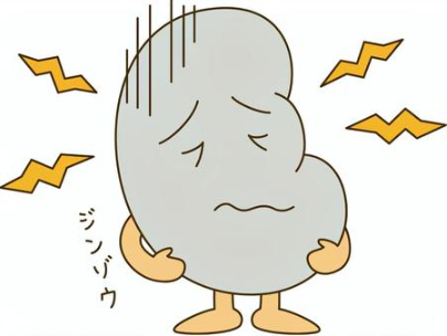 【腎臓病と漢方】岡山・兵庫・広島・四国・鳥取で自然療法を求める方へ