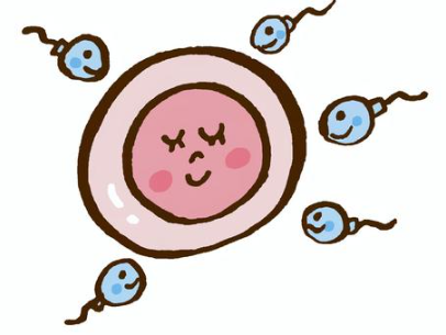 卵子の質を上げる漢方薬|自然な妊活サポートで健康な赤ちゃんへ